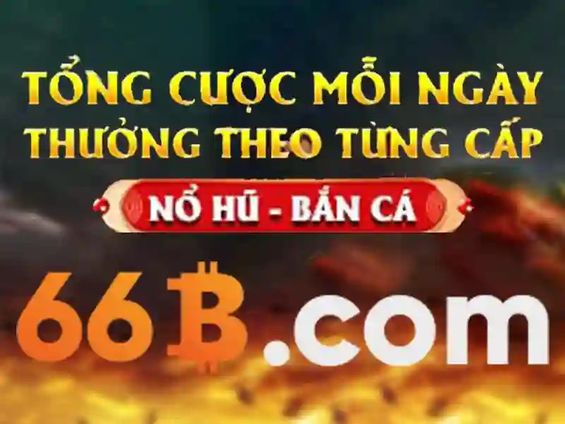 Điều Kiện Hợp Tác 66B