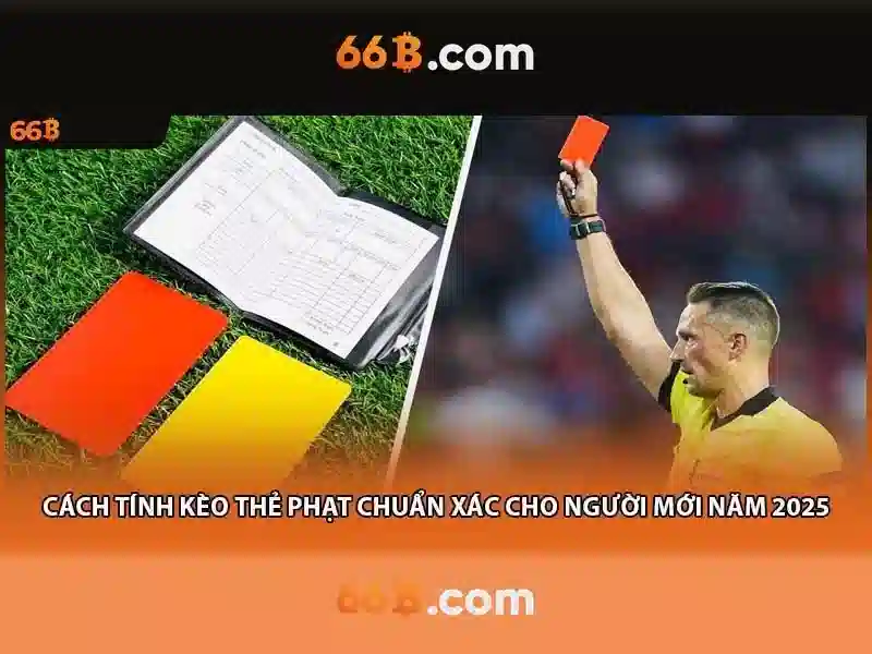 ưu điểm 66b