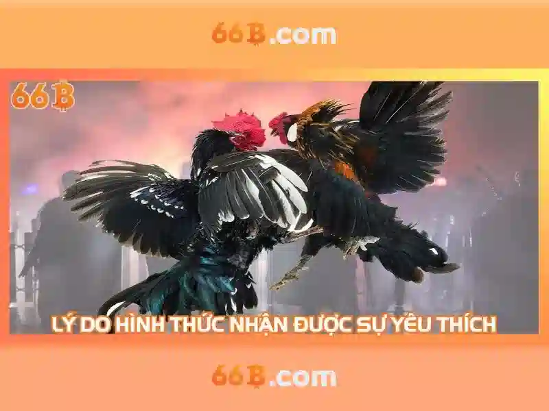Xóc Đĩa 66B