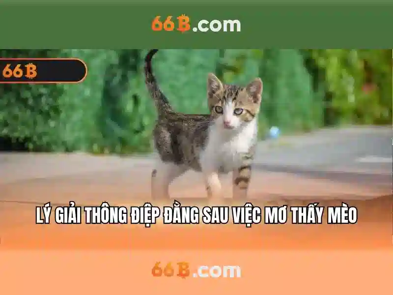 Đăng Nhập 66B – Trải Nghiệm 66b Free Chip Cho Người Chơi Slot 2026