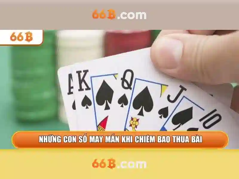 Giới Thiệu Về 66B