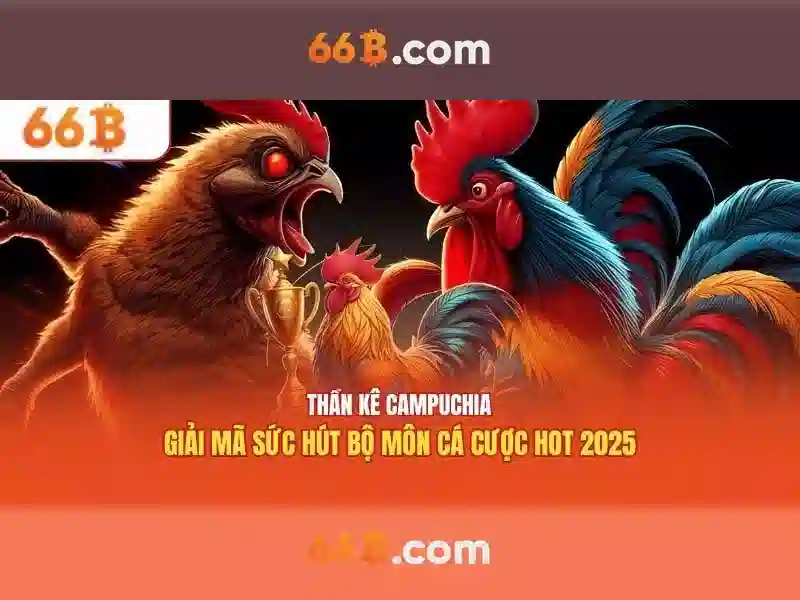 Hướng Dẫn Đăng Ký 66B