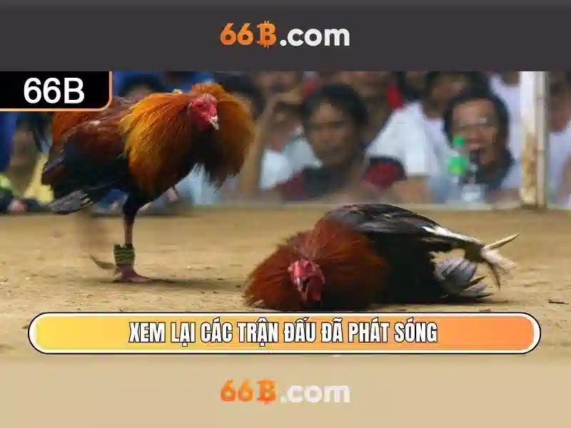 66B - Sân Chơi Slot Đẳng Cấp 2026