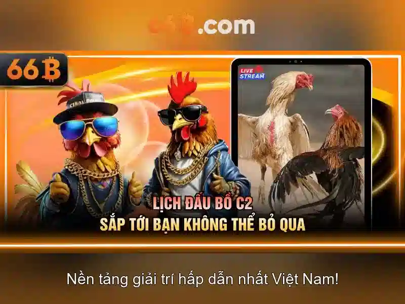 Tại Sao Chọn Hỗ Trợ 66B