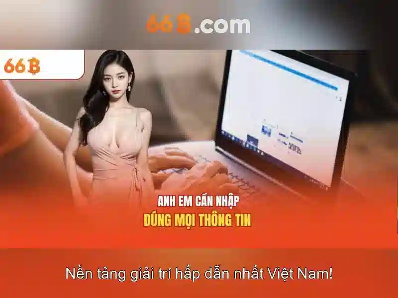 Lý do chọn 66B