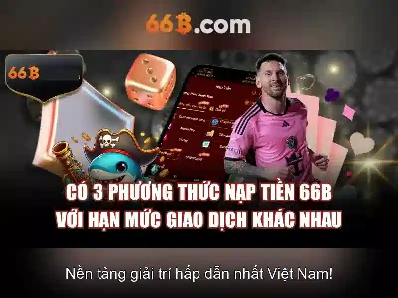 Điều Khoản Điều Kiện 66B