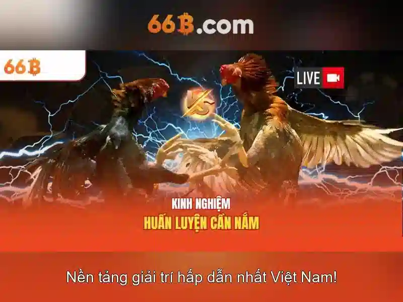 Đổi Thưởng Slot 66B