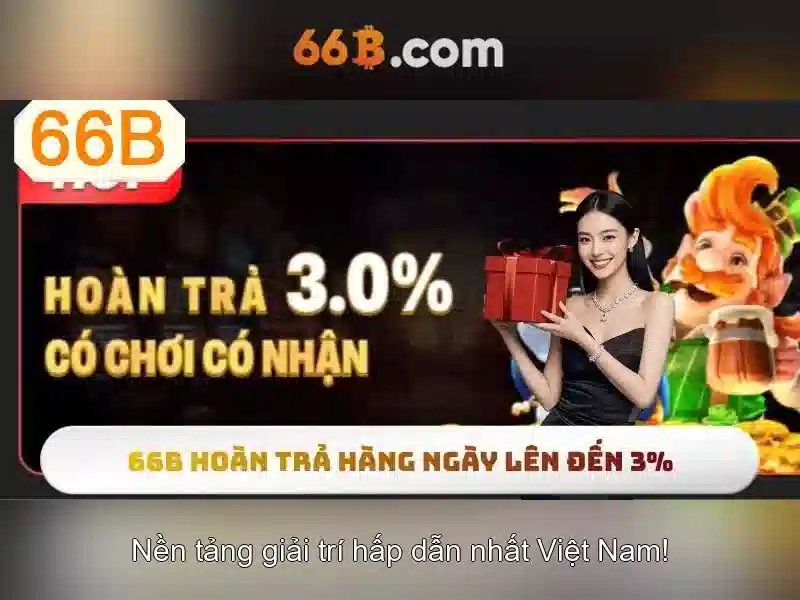 hướng dẫn sử dụng 66b