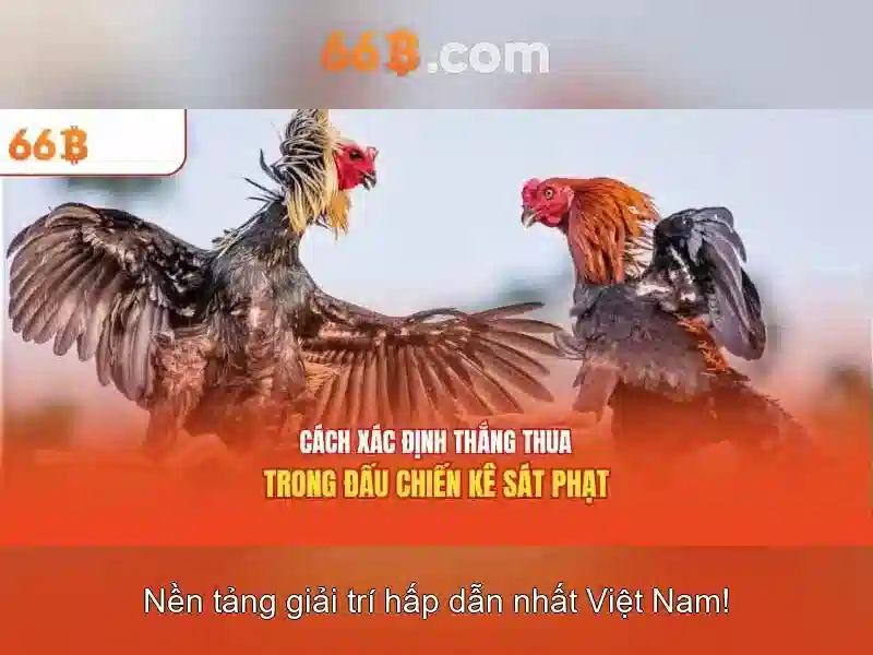 Ưu Điểm Nổi Bật