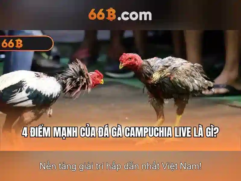 Chiến Thuật Chơi Slot