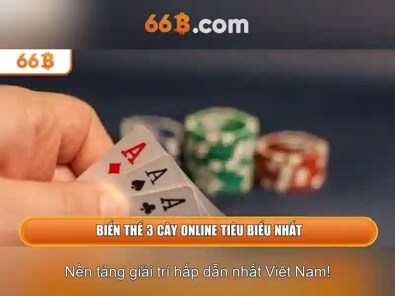 Cam Kết Chất Lượng Dịch Vụ Hỗ Trợ