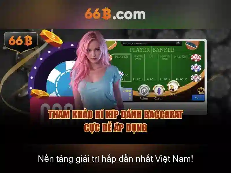 Giới Thiệu Về 66B