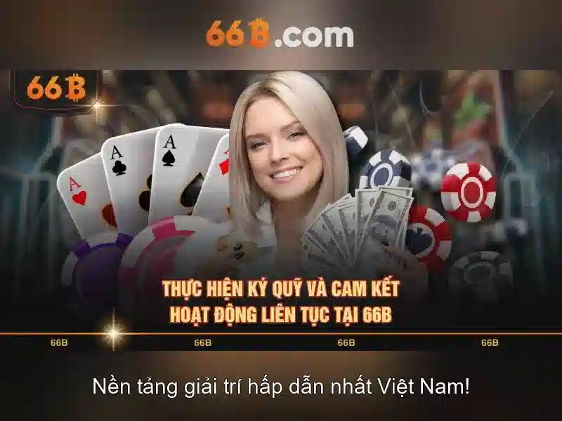 Hỗ trợ 66B