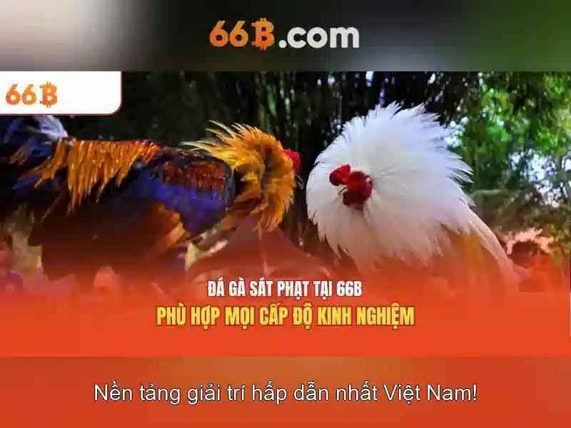 66B Slot