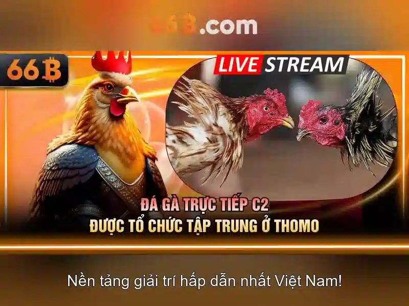 Đội Ngũ Hỗ Trợ 66B