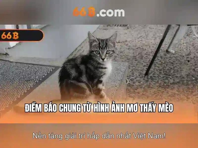 Nhận Thưởng 66B Ngay