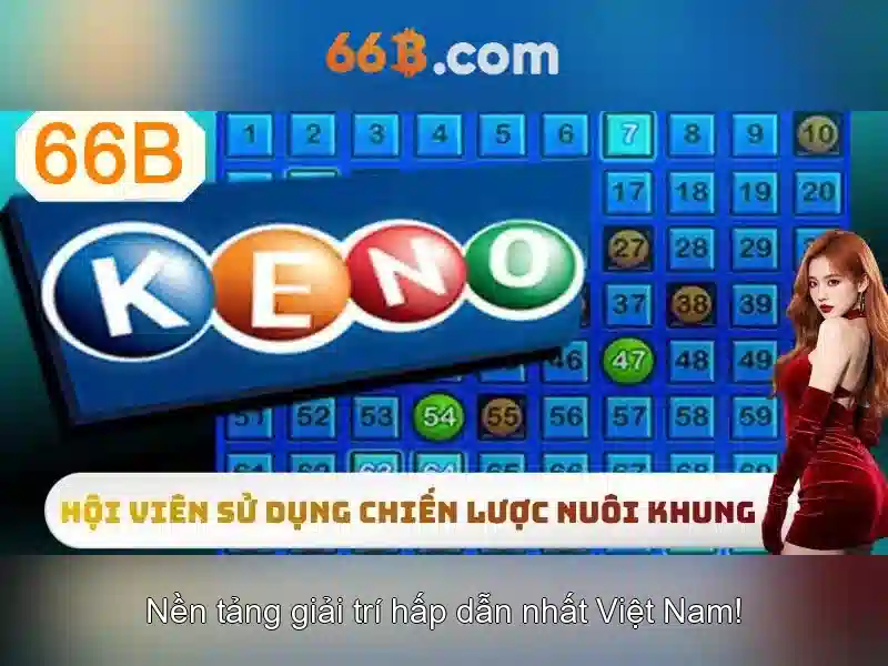 Hướng Dẫn Liên Hệ 66B