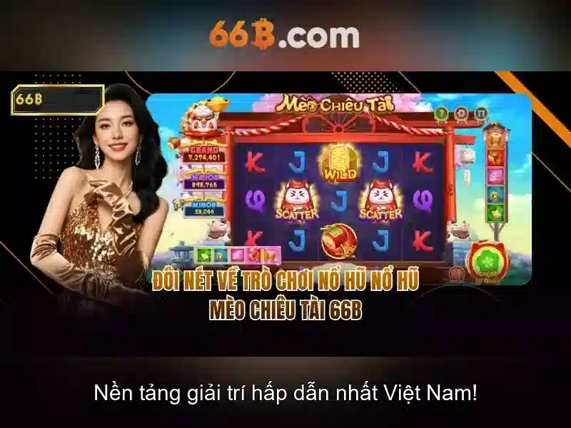 66B – Hỗ Trợ Chuyên Nghiệp