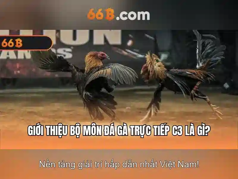 66B | Chơi Bài Trực Tuyến – Trải Nghiệm Cá Cược Đỉnh Cao Tại 66B