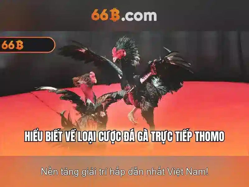 66B - Trải Nghiệm Slot Đỉnh Cao Cùng Nhà Cái 66B 2026