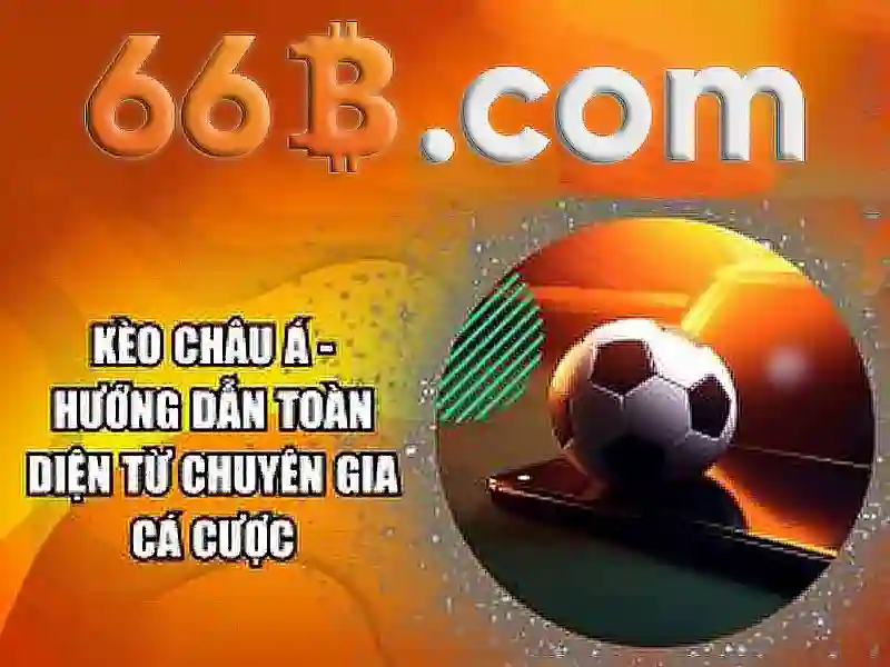 Tại Sao Nên Chọn 66B