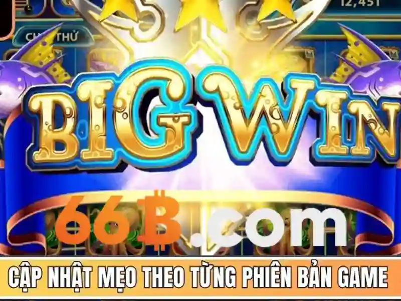 Hướng Dẫn Sử Dụng 66B App