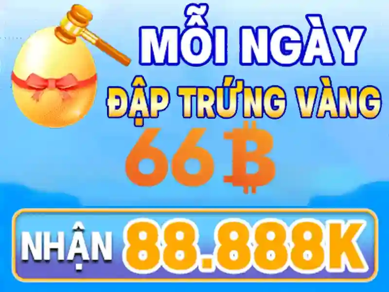 Lý Do Chọn 66B