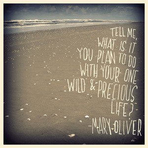 7ad9601eddd9ae81d4dbe5fd2962b841